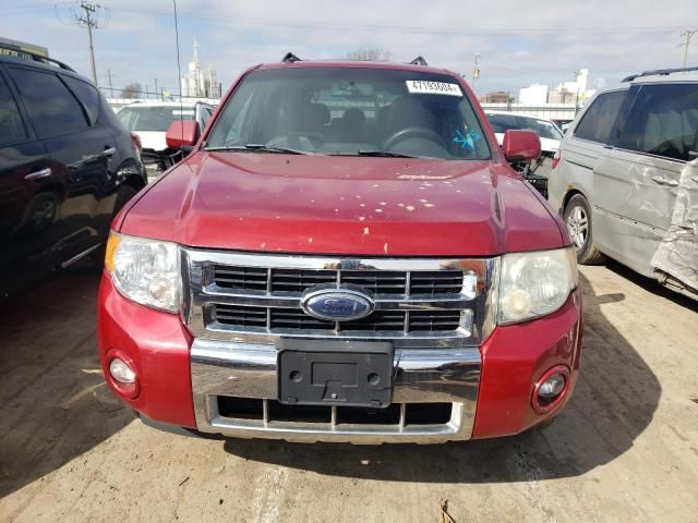 2008 Ford Escape Limited