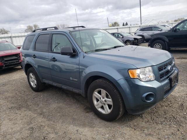 2012 Ford Escape Hybrid