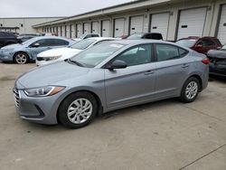 Salvage cars for sale from Copart Lawrenceburg, KY: 2017 Hyundai Elantra SE