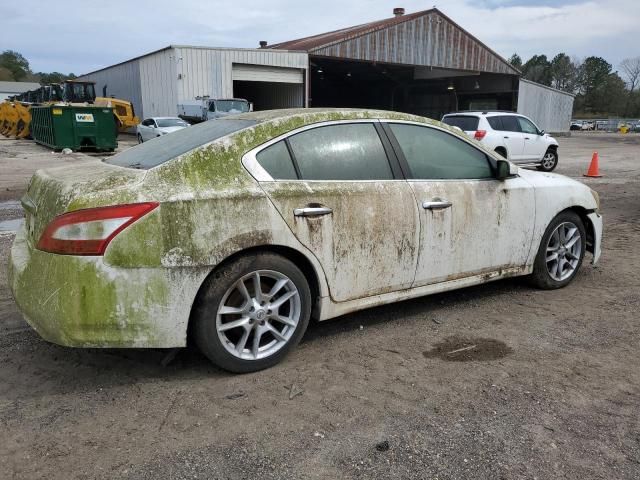 2010 Nissan Maxima S