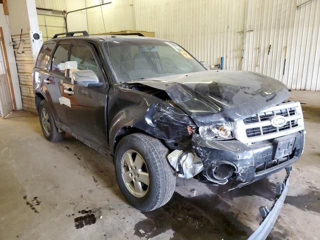 2011 Ford Escape XLT