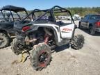 2024 Polaris RZR XP 1000 Sport