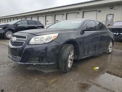 Salvage cars for sale from Copart Louisville, KY: 2013 Chevrolet Malibu 1LT