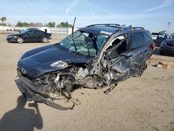 Vehiculos salvage en venta de Copart Bakersfield, CA: 2023 Subaru Forester Wilderness