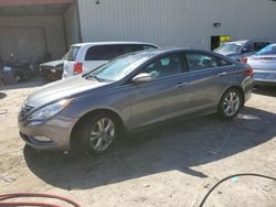 Salvage cars for sale at Seaford, DE auction: 2013 Hyundai Sonata SE