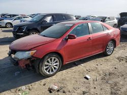 Salvage cars for sale at Earlington, KY auction: 2013 Toyota Camry L