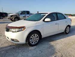 2013 KIA Forte EX en venta en Arcadia, FL