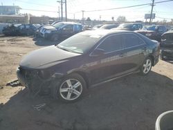 Vehiculos salvage en venta de Copart Colorado Springs, CO: 2013 Toyota Camry L