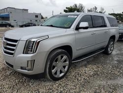 Salvage cars for sale from Copart Opa Locka, FL: 2020 Cadillac Escalade ESV Luxury