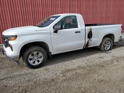 Salvage cars for sale from Copart London, ON: 2022 Chevrolet Silverado C1500