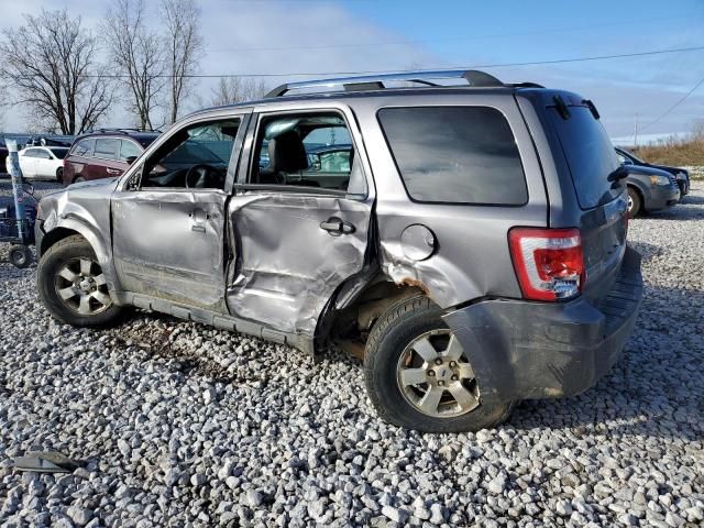 2011 Ford Escape Limited