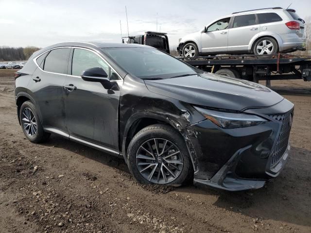 2024 Lexus NX 350 Base