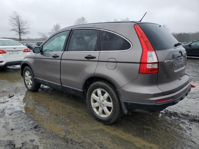 2011 Honda CR-V SE