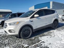 Salvage cars for sale from Copart Elmsdale, NS: 2017 Ford Escape Titanium