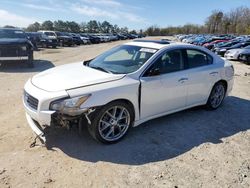 Nissan Maxima s salvage cars for sale: 2011 Nissan Maxima S