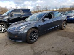 2023 Tesla Model 3 for sale in Marlboro, NY