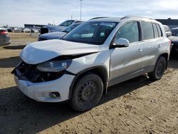 Salvage cars for sale at Nisku, AB auction: 2014 Volkswagen Tiguan S