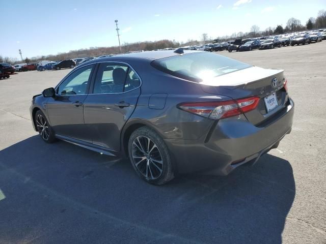 2019 Toyota Camry L