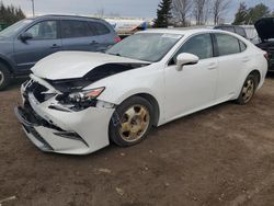 Lexus salvage cars for sale: 2017 Lexus ES 300H