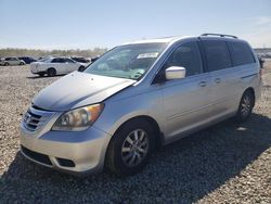 Salvage cars for sale at Memphis, TN auction: 2010 Honda Odyssey EXL