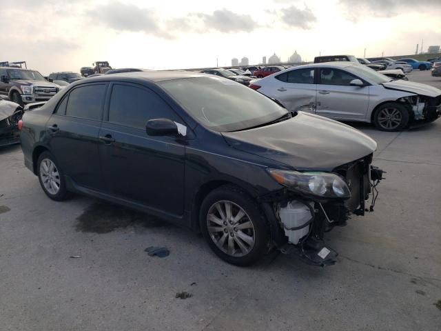 2009 Toyota Corolla Base