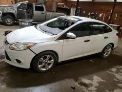 Ford Focus salvage cars for sale: 2013 Ford Focus SE