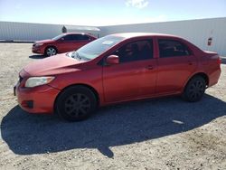 Salvage cars for sale from Copart Adelanto, CA: 2010 Toyota Corolla Base