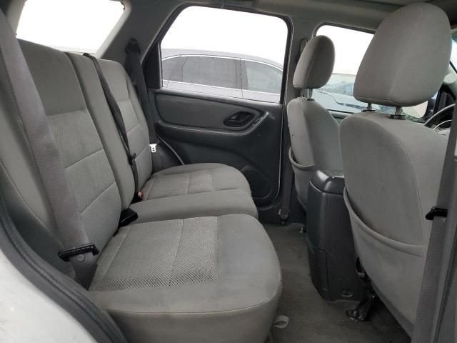 2007 Ford Escape XLT