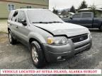 2004 Ford Escape XLT