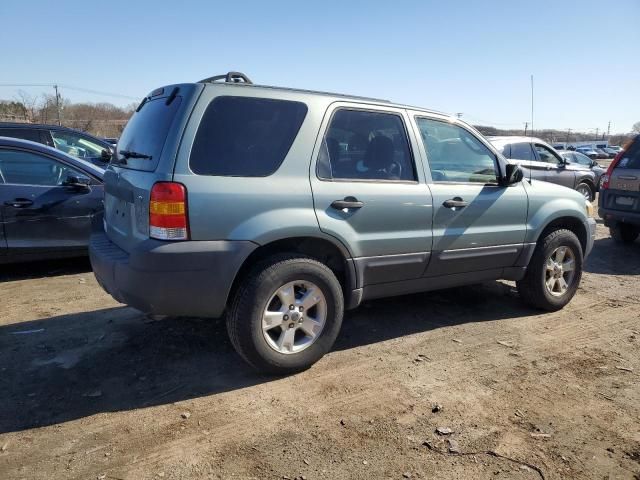 2006 Ford Escape XLT