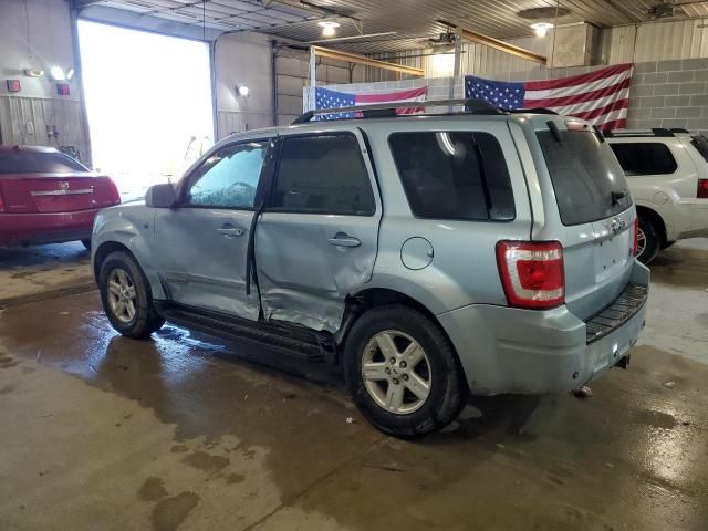 2008 Ford Escape HEV