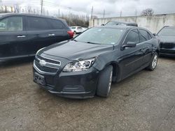 Chevrolet salvage cars for sale: 2013 Chevrolet Malibu 1LT