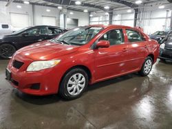 Vehiculos salvage en venta de Copart Ham Lake, MN: 2010 Toyota Corolla Base