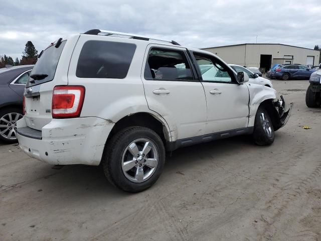 2011 Ford Escape Limited