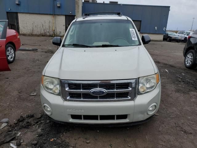 2009 Ford Escape XLT