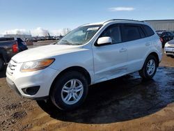 Salvage cars for sale from Copart Rocky View County, AB: 2011 Hyundai Santa FE GLS