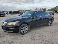Salvage cars for sale from Copart Houston, TX: 2011 Honda Accord EX