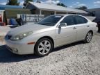 2005 Lexus ES 330