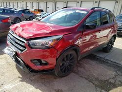 Salvage cars for sale at Lawrenceburg, KY auction: 2019 Ford Escape SE