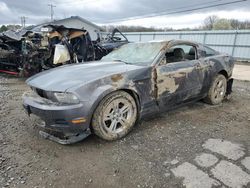 Ford salvage cars for sale: 2011 Ford Mustang