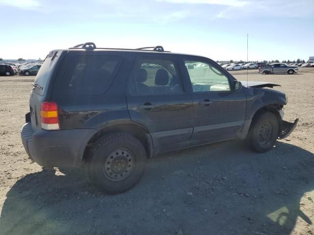 2007 Ford Escape XLT