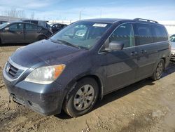 Salvage cars for sale at Nisku, AB auction: 2010 Honda Odyssey EX