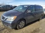 2010 Honda Odyssey EX