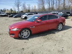 Jaguar XF Vehiculos salvage en venta: 2017 Jaguar XF Prestige