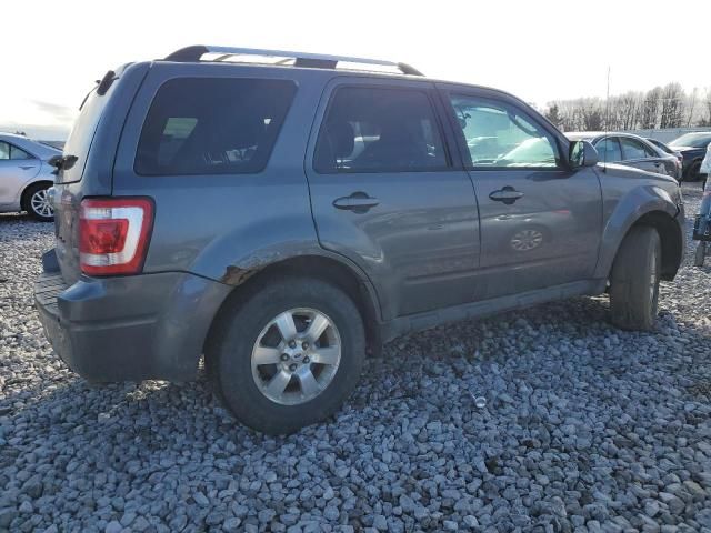 2011 Ford Escape Limited