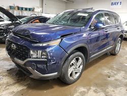 Salvage cars for sale at Elgin, IL auction: 2023 Hyundai Santa FE SEL