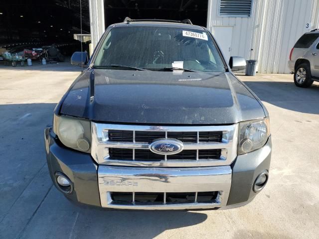 2009 Ford Escape Limited