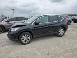 2014 Honda CR-V EXL for sale in Indianapolis, IN