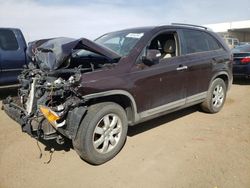 Salvage cars for sale at Brighton, CO auction: 2011 KIA Sorento Base