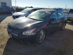 Salvage cars for sale from Copart Tucson, AZ: 2011 Nissan Maxima S